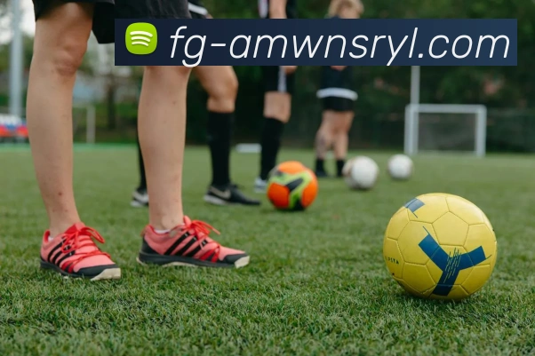 威尼斯人娱乐官网发展历程